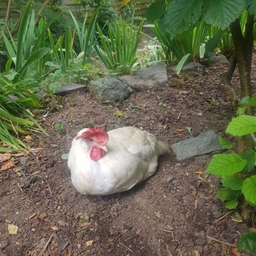 Do2_P1_ Lina Marie +Tabea (2).jpg